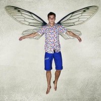 Baïsap - Entomologie