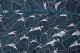 Baïsap - Waves shirt - Hokusai