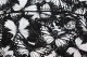 Baïsap - Hemden mit Motiv - Schmetterling 